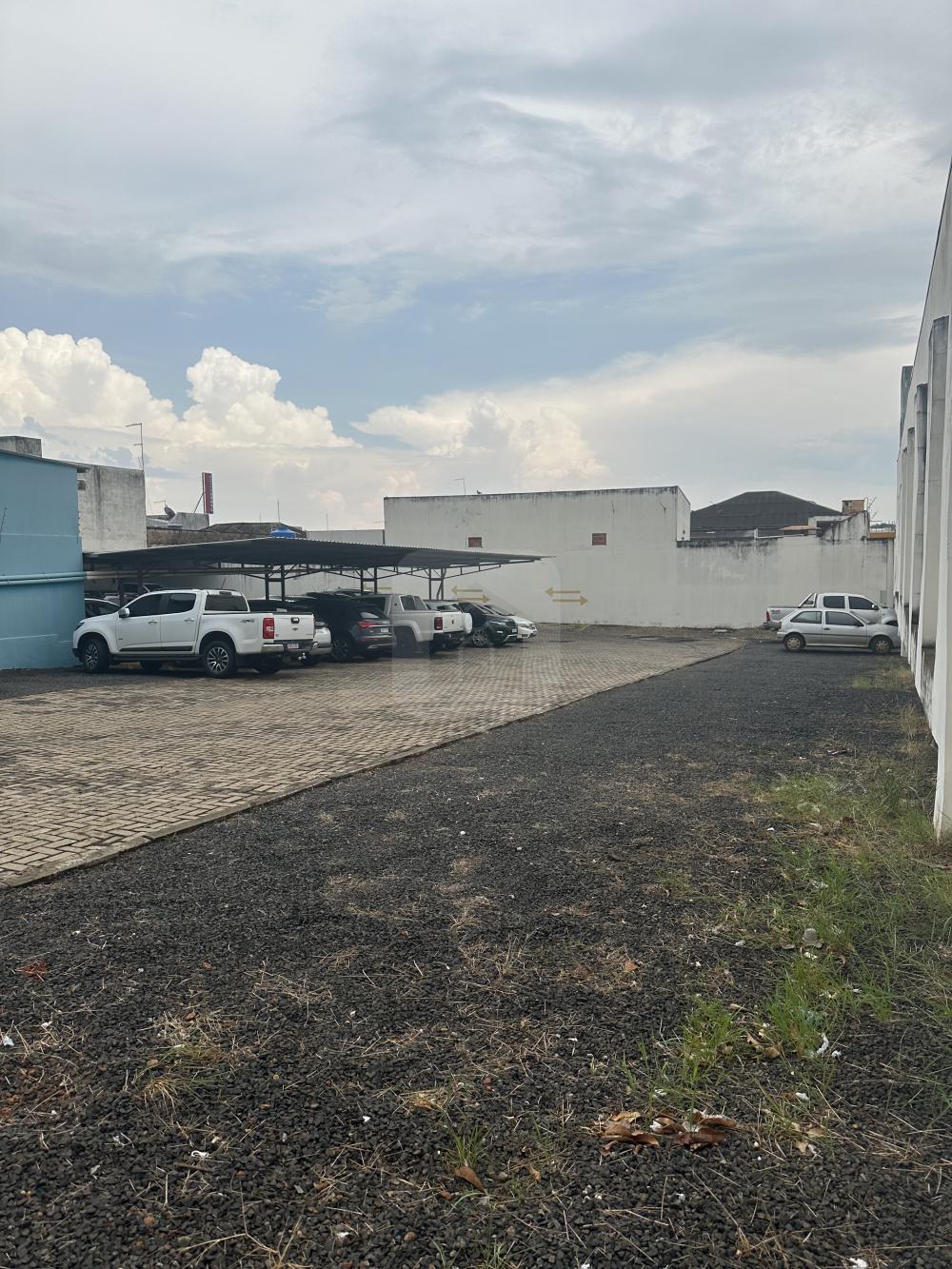 Comprar Terreno / &Aacute;rea em Araguari - Foto 4