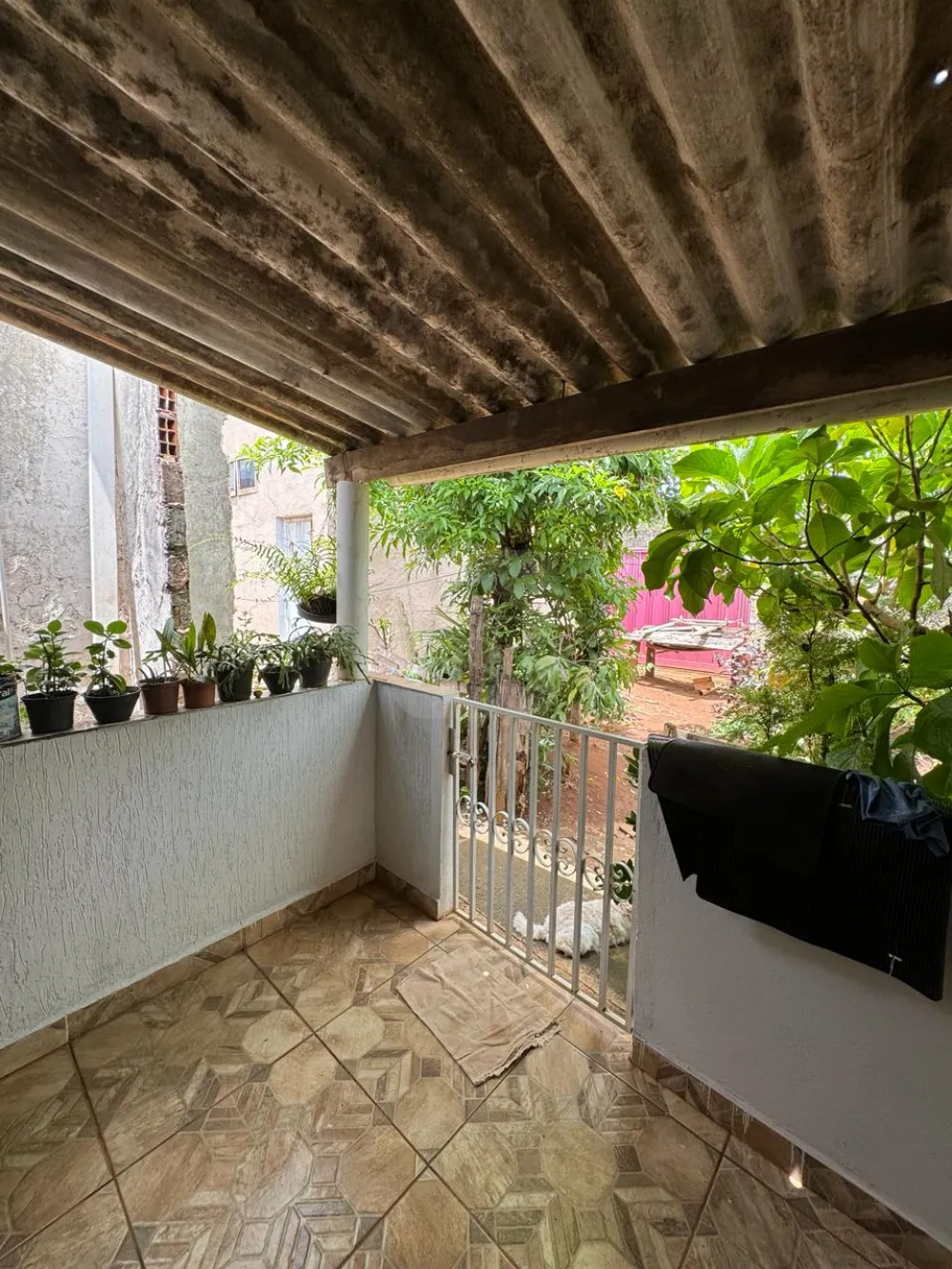 Comprar Comercial / Casa Comercial em Araguari R$ 350.000,00 - Foto 4