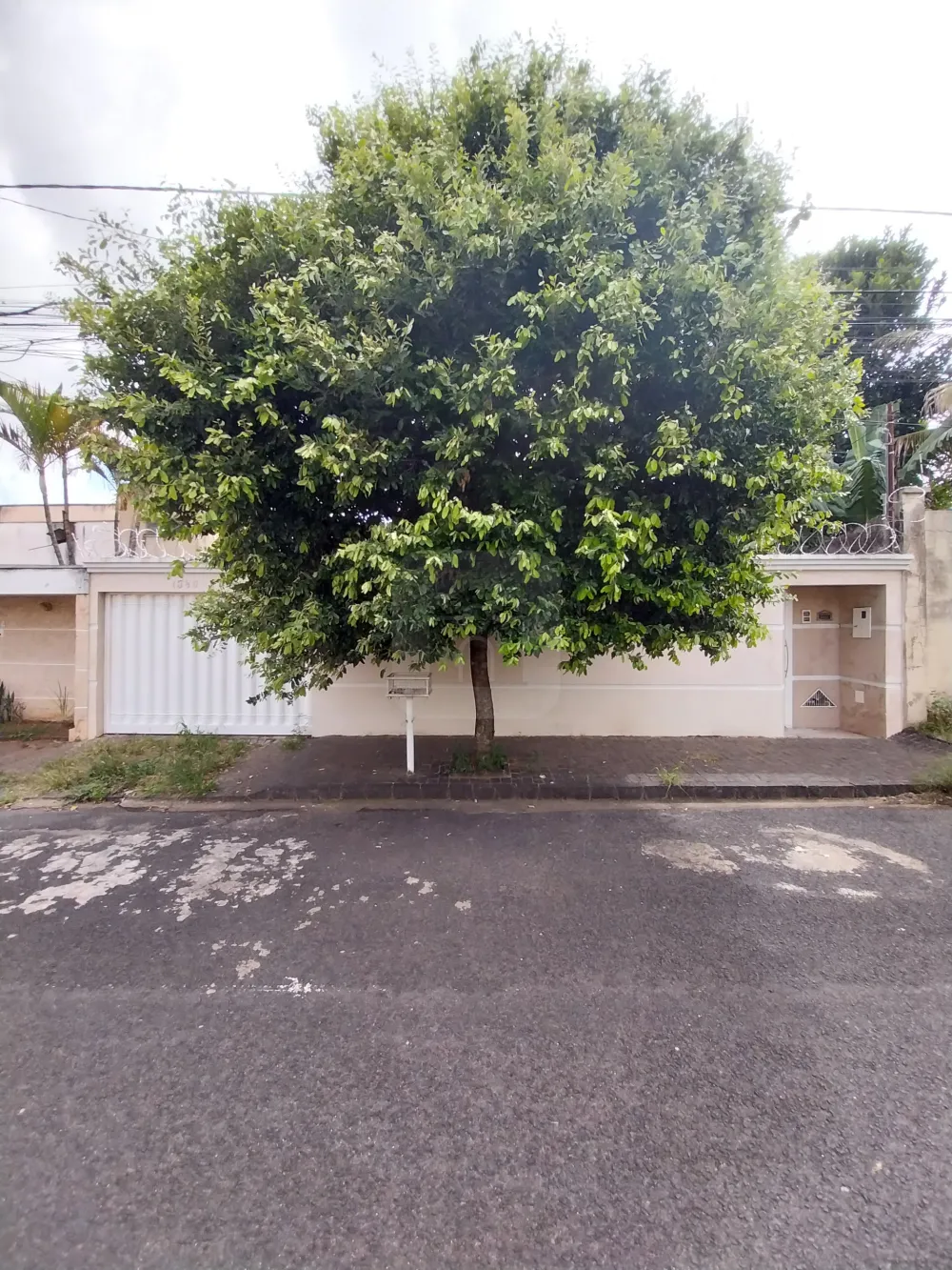Alugar Casa / Padr&atilde;o em Uberl&acirc;ndia R$ 2.000,00 - Foto 1