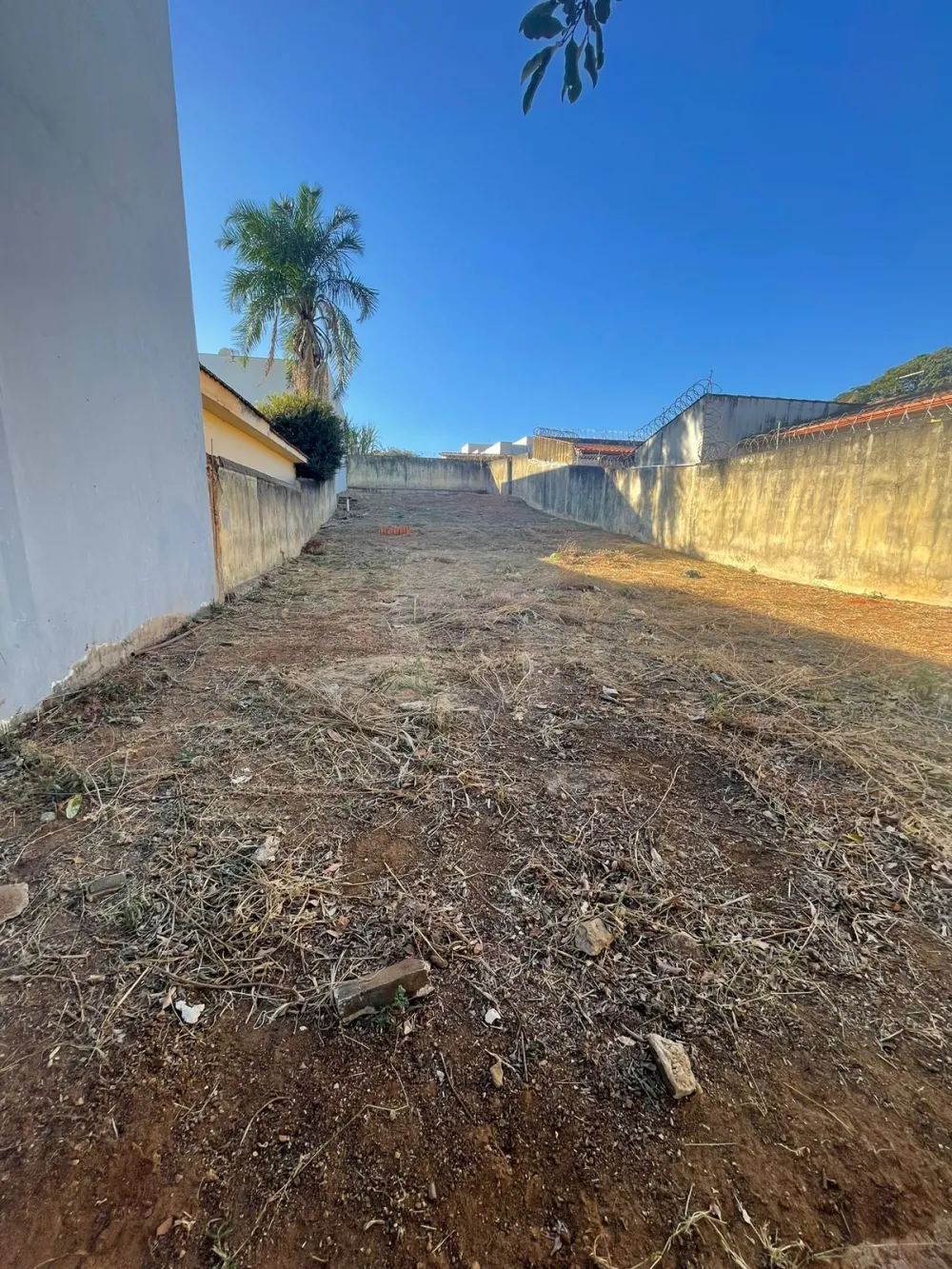Comprar Terreno / Padr&atilde;o em Araguari R$ 550.000,00 - Foto 1