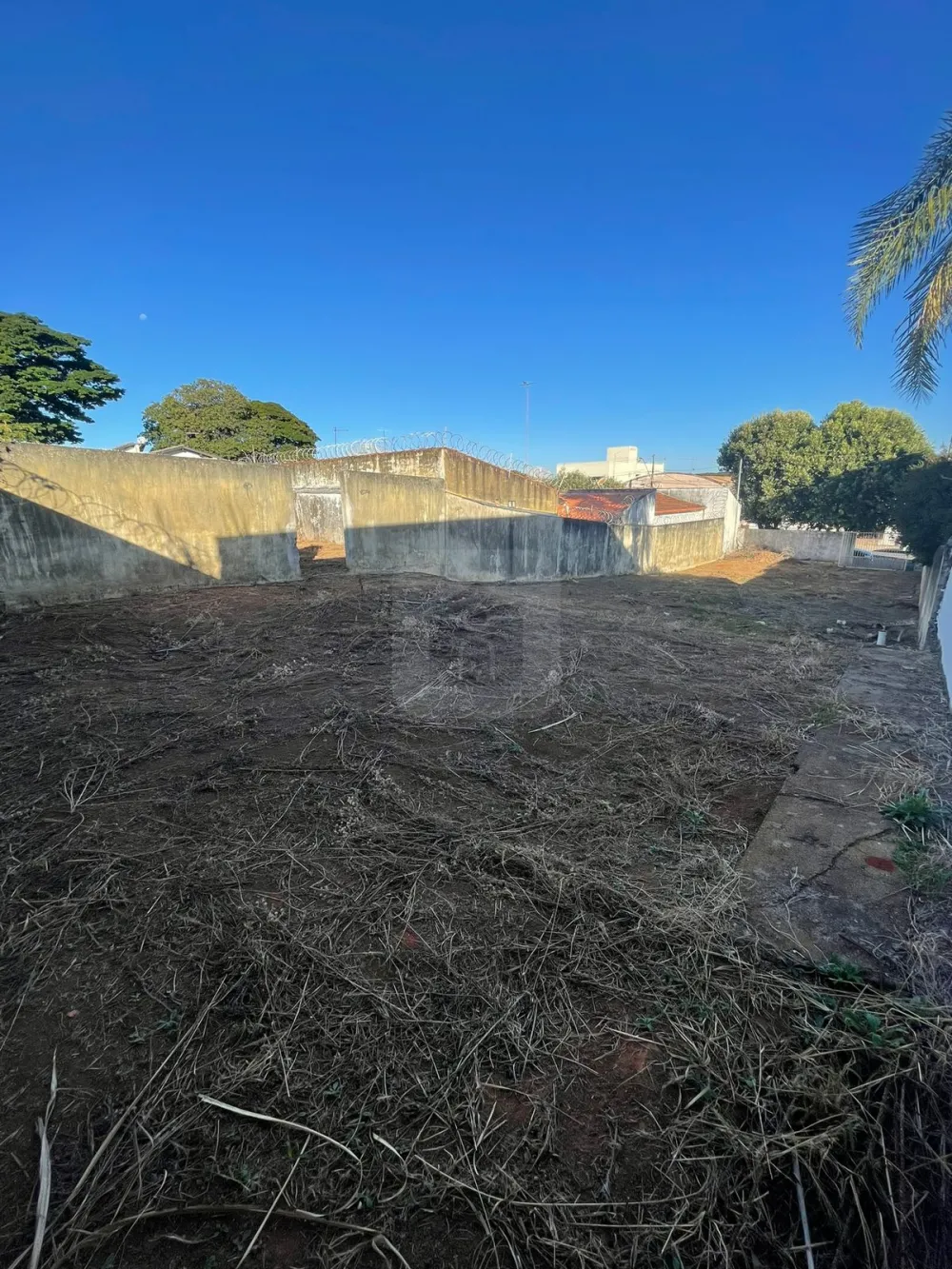 Comprar Terreno / Padr&atilde;o em Araguari R$ 550.000,00 - Foto 2