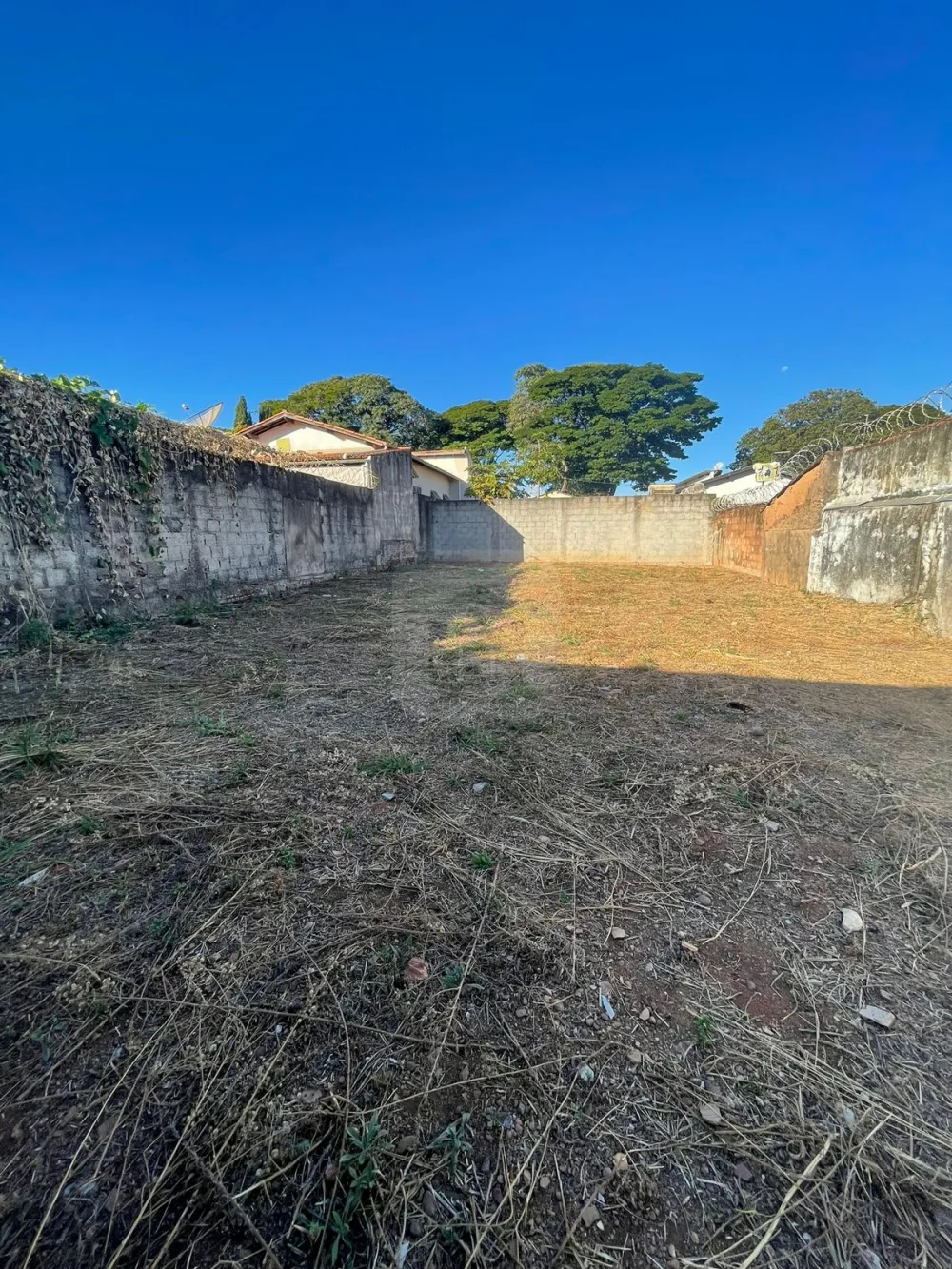 Comprar Terreno / Padr&atilde;o em Araguari R$ 550.000,00 - Foto 3