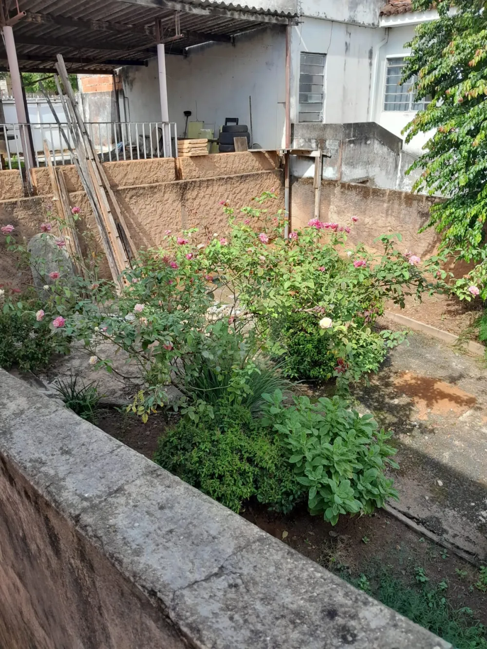 Comprar Casa / Padr&atilde;o em Araguari R$ 700.000,00 - Foto 23