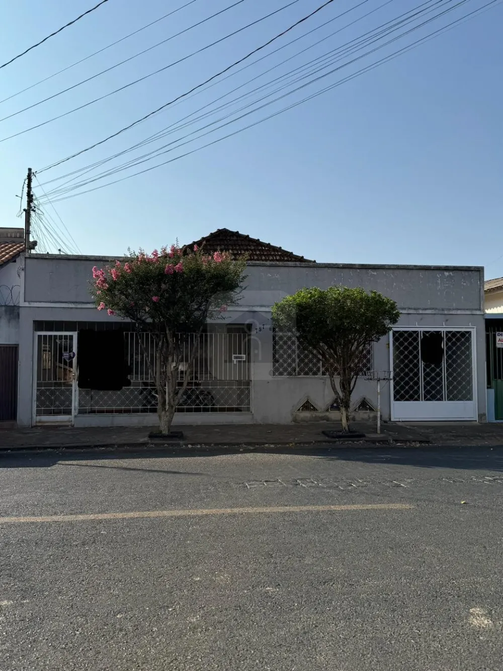 Comprar Comercial / Casa Comercial em Araguari R$ 500.000,00 - Foto 1