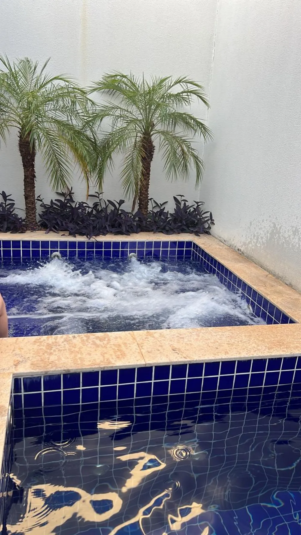 Alugar Casa / Padr&atilde;o em Uberl&acirc;ndia R$ 6.000,00 - Foto 14