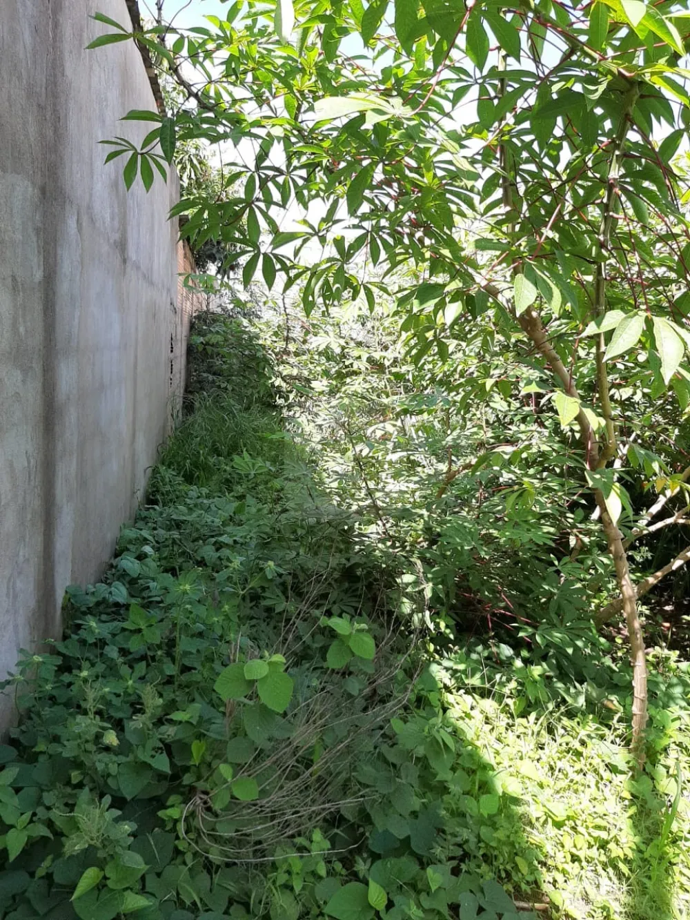 Comprar Terreno / Padr&atilde;o em Uberl&acirc;ndia R$ 200.000,00 - Foto 2