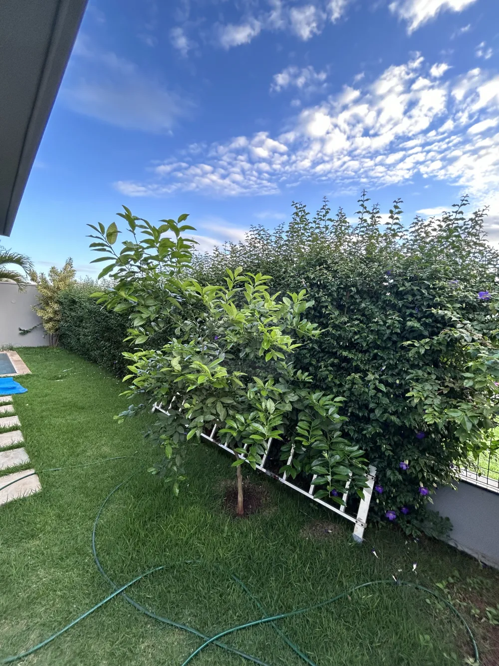 Comprar Casa / Condom&iacute;nio ou Loteamento Fechado em Uberl&acirc;ndia R$ 2.400.000,00 - Foto 22