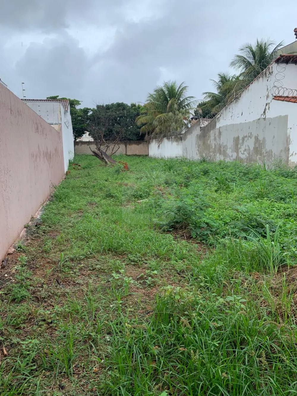 Comprar Terreno / Padr&atilde;o em Uberl&acirc;ndia R$ 450.000,00 - Foto 2