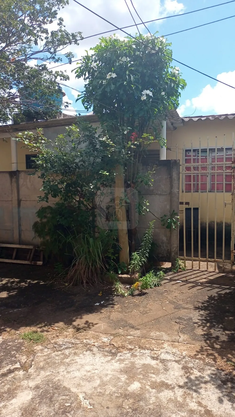 Comprar Casa / Padr&atilde;o em Uberl&acirc;ndia R$ 350.000,00 - Foto 10