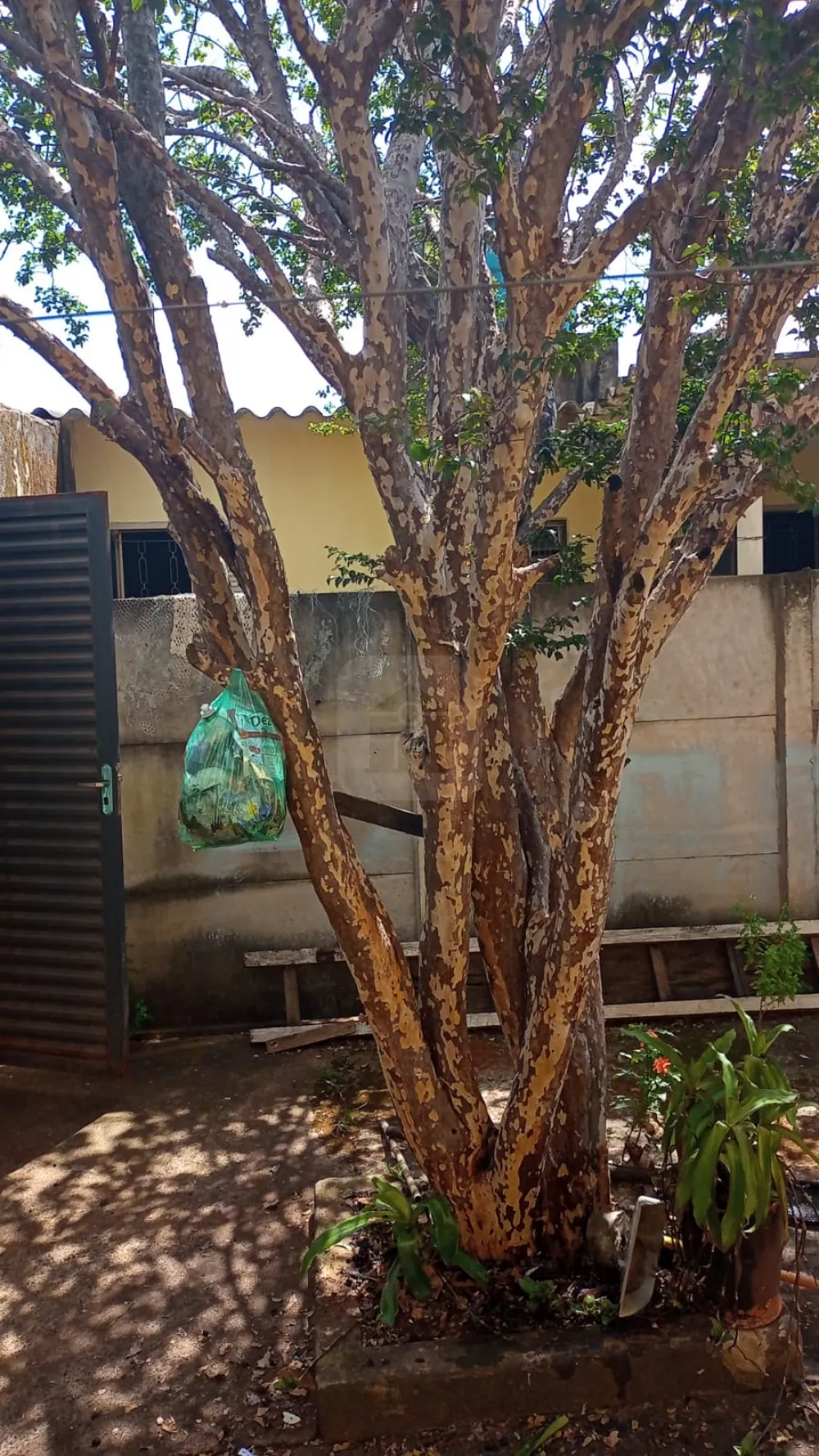 Comprar Casa / Padr&atilde;o em Uberl&acirc;ndia R$ 350.000,00 - Foto 14