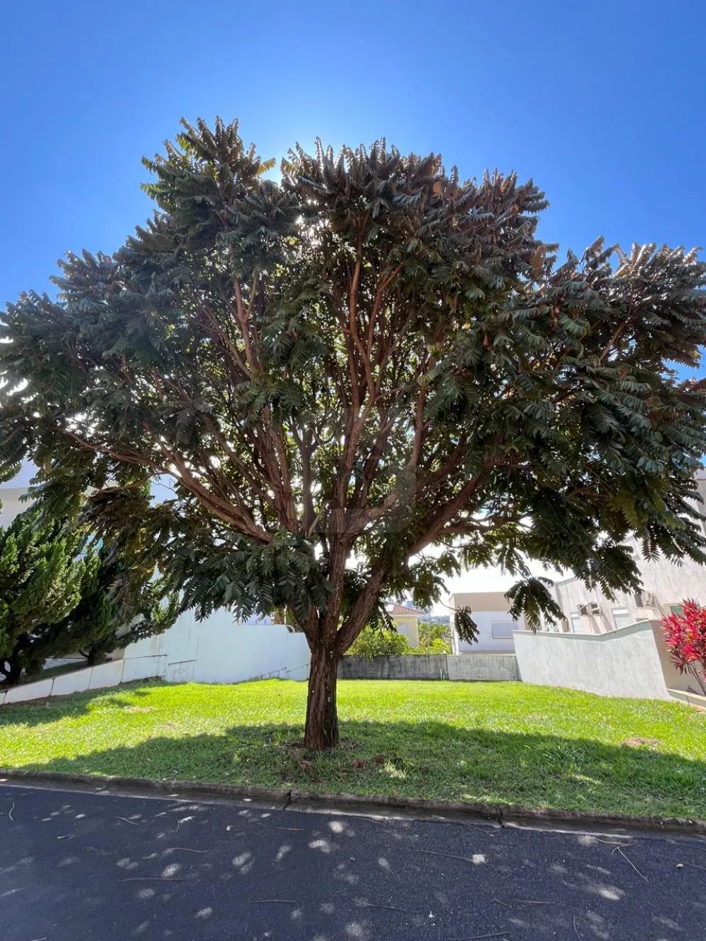 Comprar Terreno / Condom&iacute;nio em Uberl&acirc;ndia R$ 790.000,00 - Foto 2