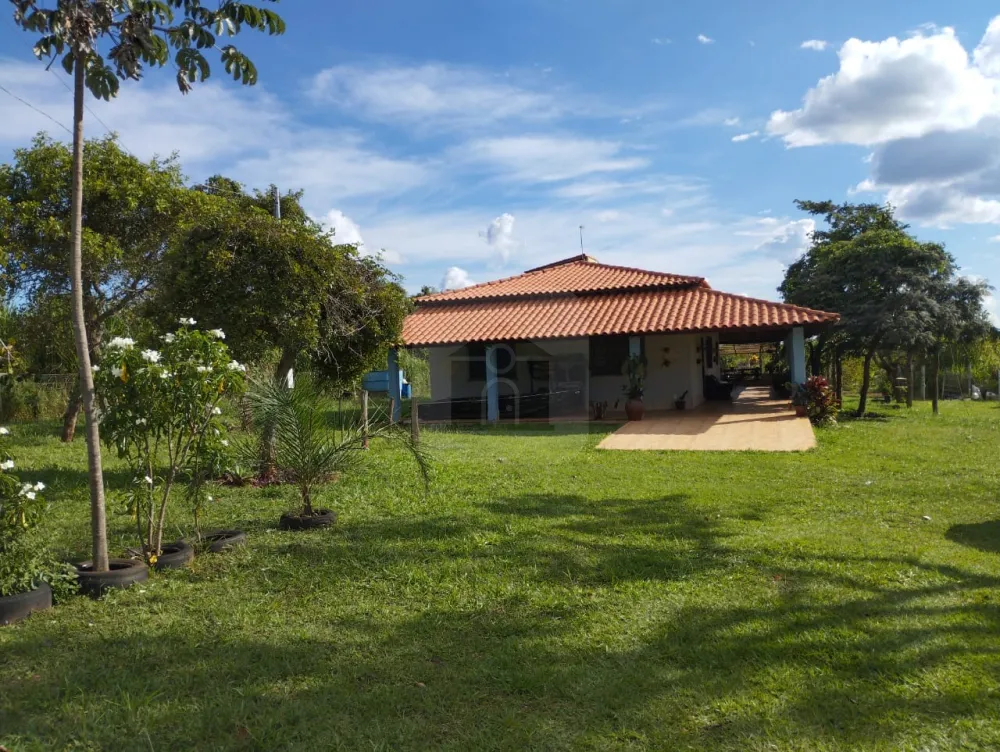 Alugar Rural / Fazenda em Monte Alegre de Minas R$ 3.000,00 - Foto 2