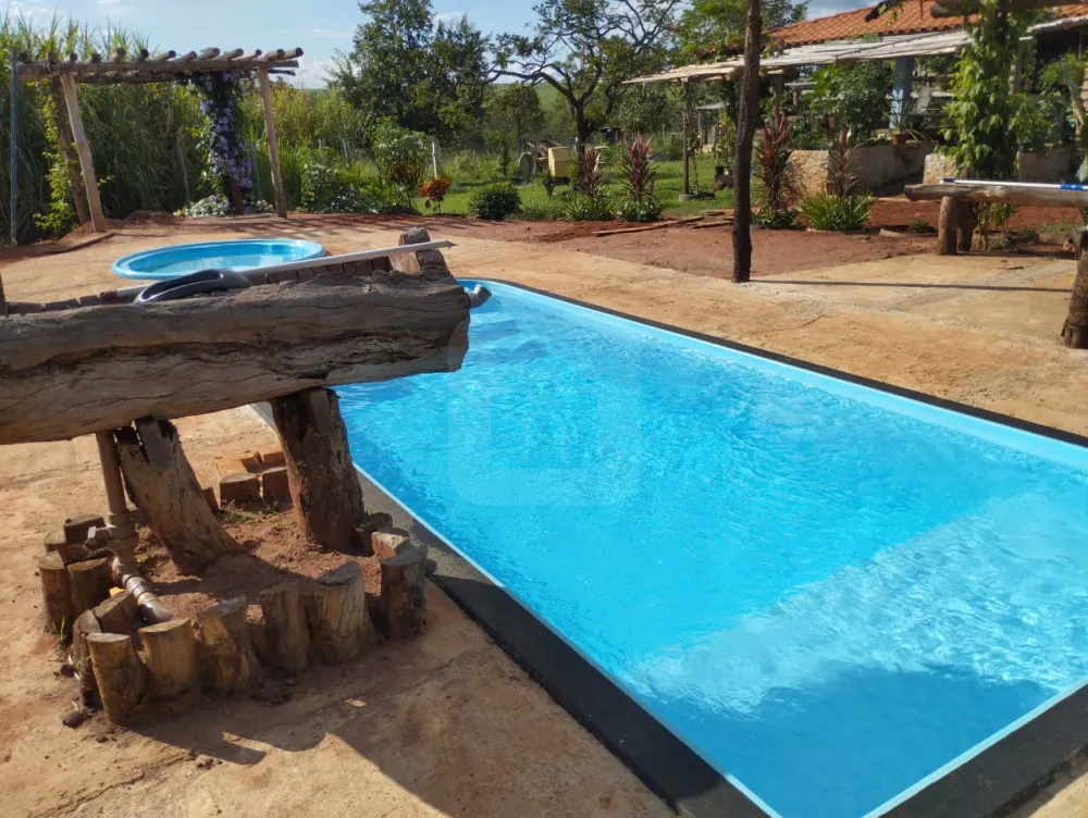 Alugar Rural / Fazenda em Monte Alegre de Minas R$ 3.000,00 - Foto 3