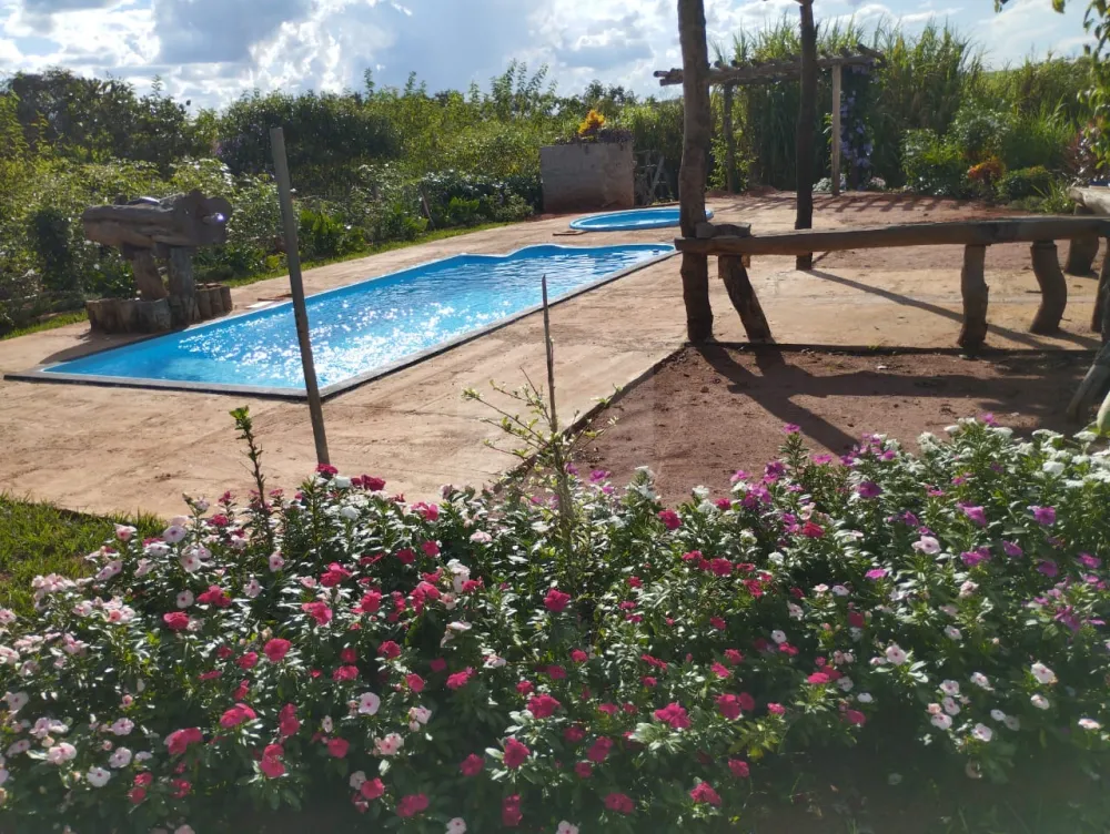 Alugar Rural / Fazenda em Monte Alegre de Minas R$ 3.000,00 - Foto 4