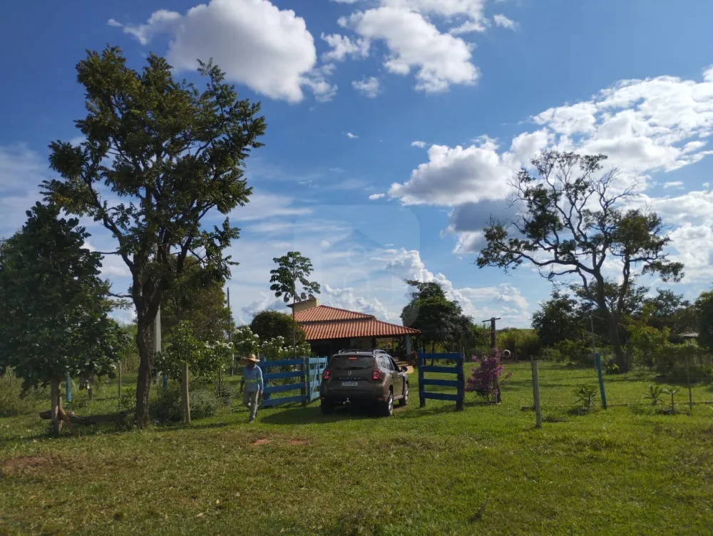 Alugar Rural / Fazenda em Monte Alegre de Minas R$ 3.000,00 - Foto 5