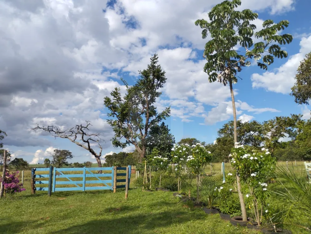 Alugar Rural / Fazenda em Monte Alegre de Minas R$ 3.000,00 - Foto 8
