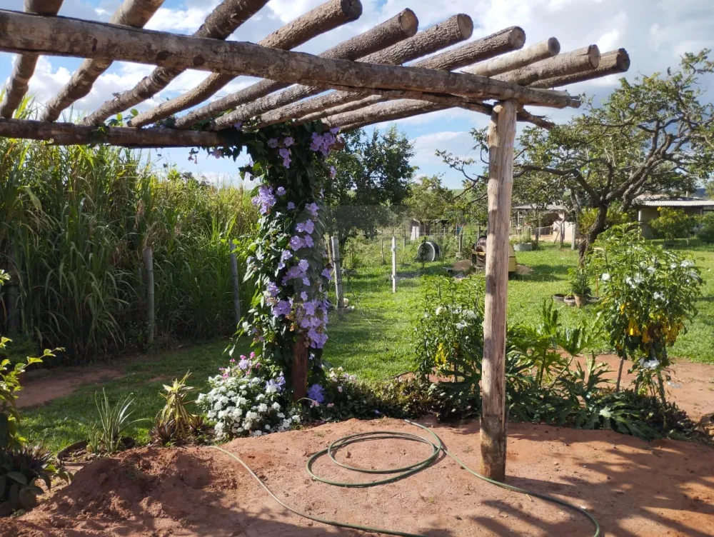 Alugar Rural / Fazenda em Monte Alegre de Minas R$ 3.000,00 - Foto 11