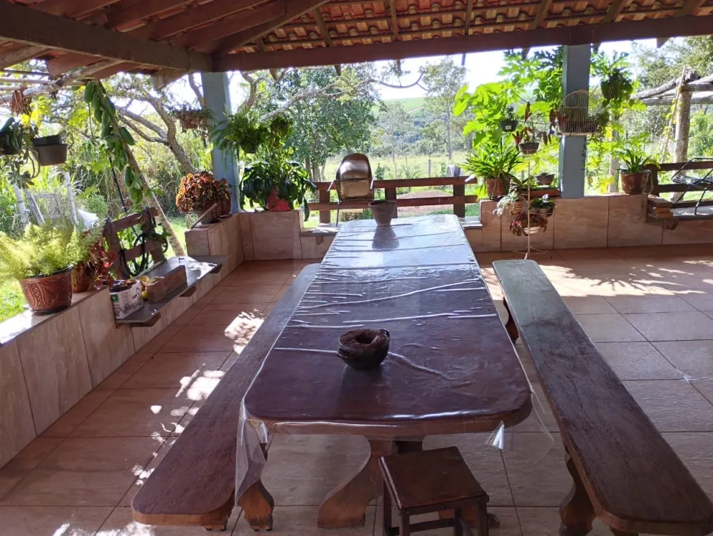 Alugar Rural / Fazenda em Monte Alegre de Minas R$ 3.000,00 - Foto 12