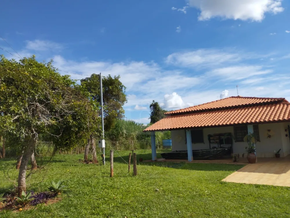 Alugar Rural / Fazenda em Monte Alegre de Minas R$ 3.000,00 - Foto 13