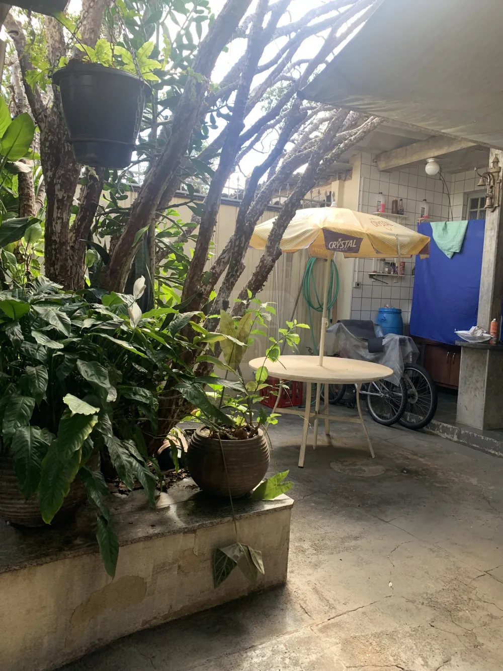 Comprar Casa / Padr&atilde;o em Uberl&acirc;ndia R$ 600.000,00 - Foto 11