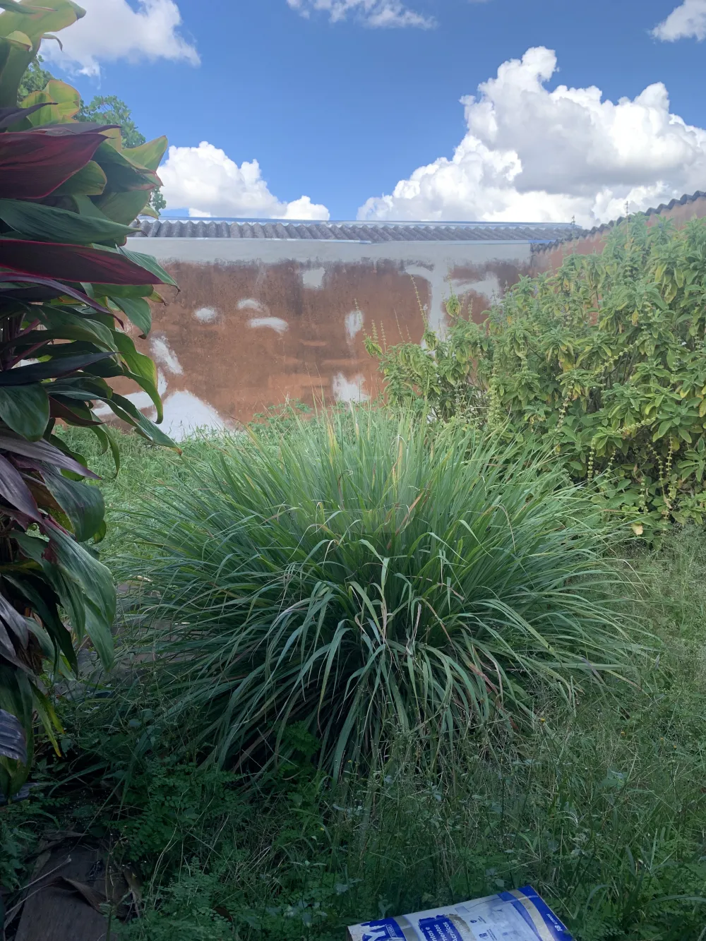 Comprar Casa / Padr&atilde;o em Uberl&acirc;ndia R$ 600.000,00 - Foto 12