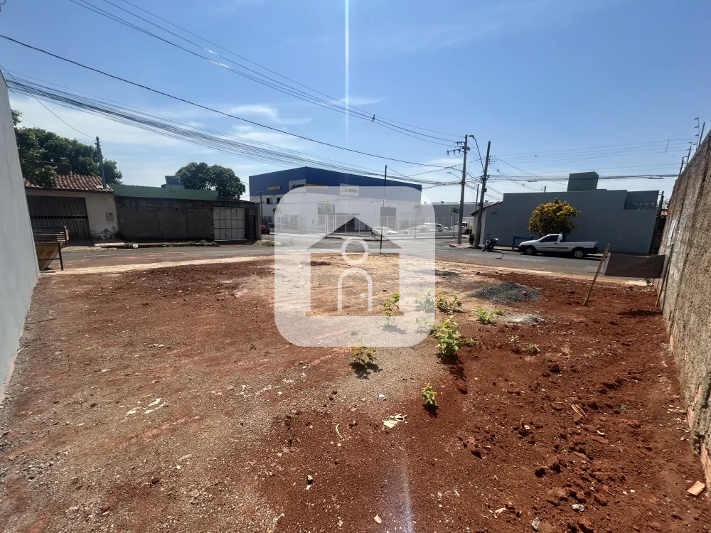 Alugar Terreno / &Aacute;rea em Uberl&acirc;ndia R$ 1.100,00 - Foto 2