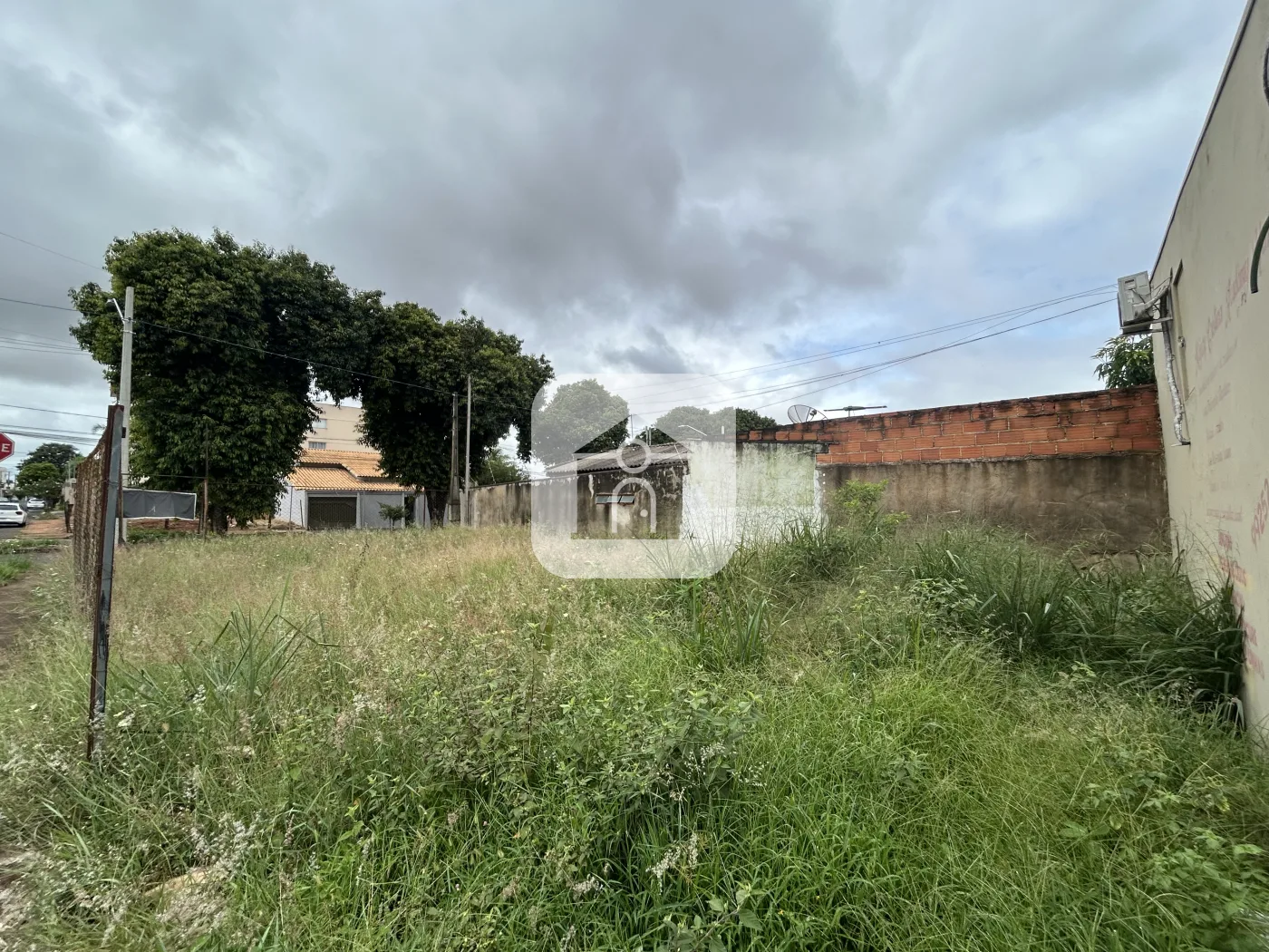 Alugar Terreno / &Aacute;rea em Uberl&acirc;ndia R$ 1.200,00 - Foto 2