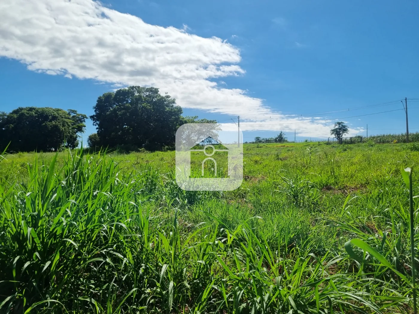 Comprar Terreno / Condom&iacute;nio em Uberl&acirc;ndia R$ 270.000,00 - Foto 2