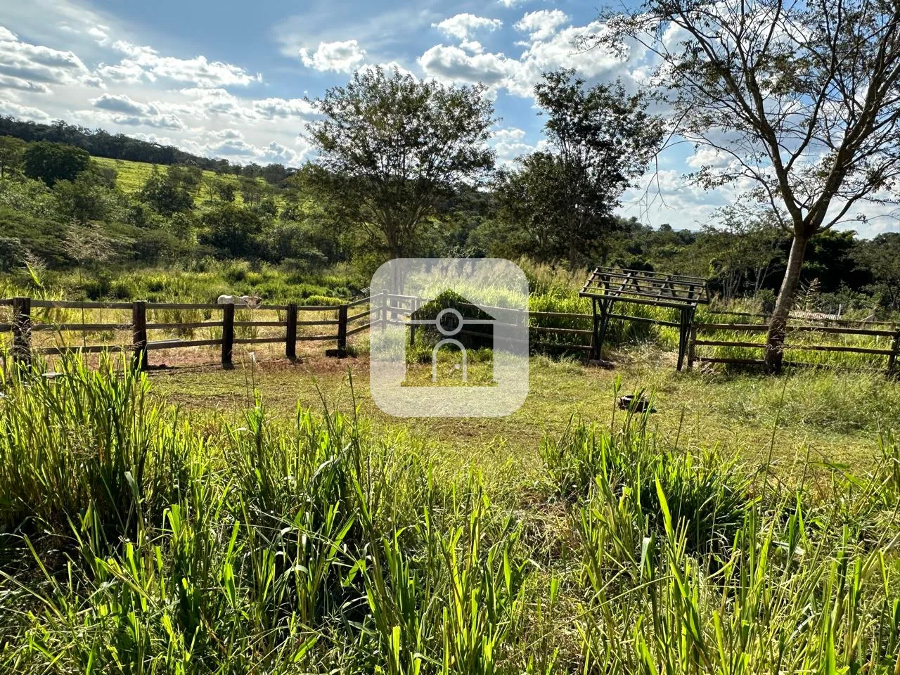 Comprar Rural / Ch&aacute;cara em Uberl&acirc;ndia R$ 1.500.000,00 - Foto 3