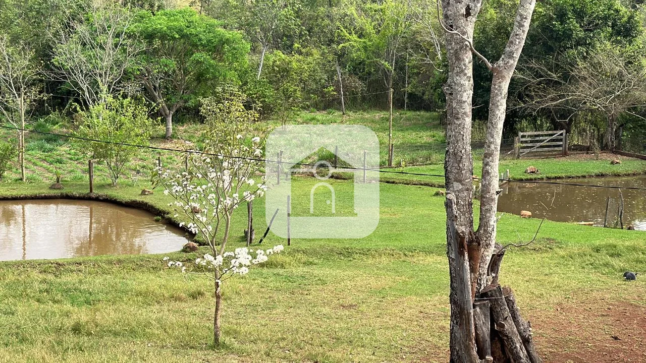 Comprar Rural / Ch&aacute;cara em Uberl&acirc;ndia R$ 1.500.000,00 - Foto 5