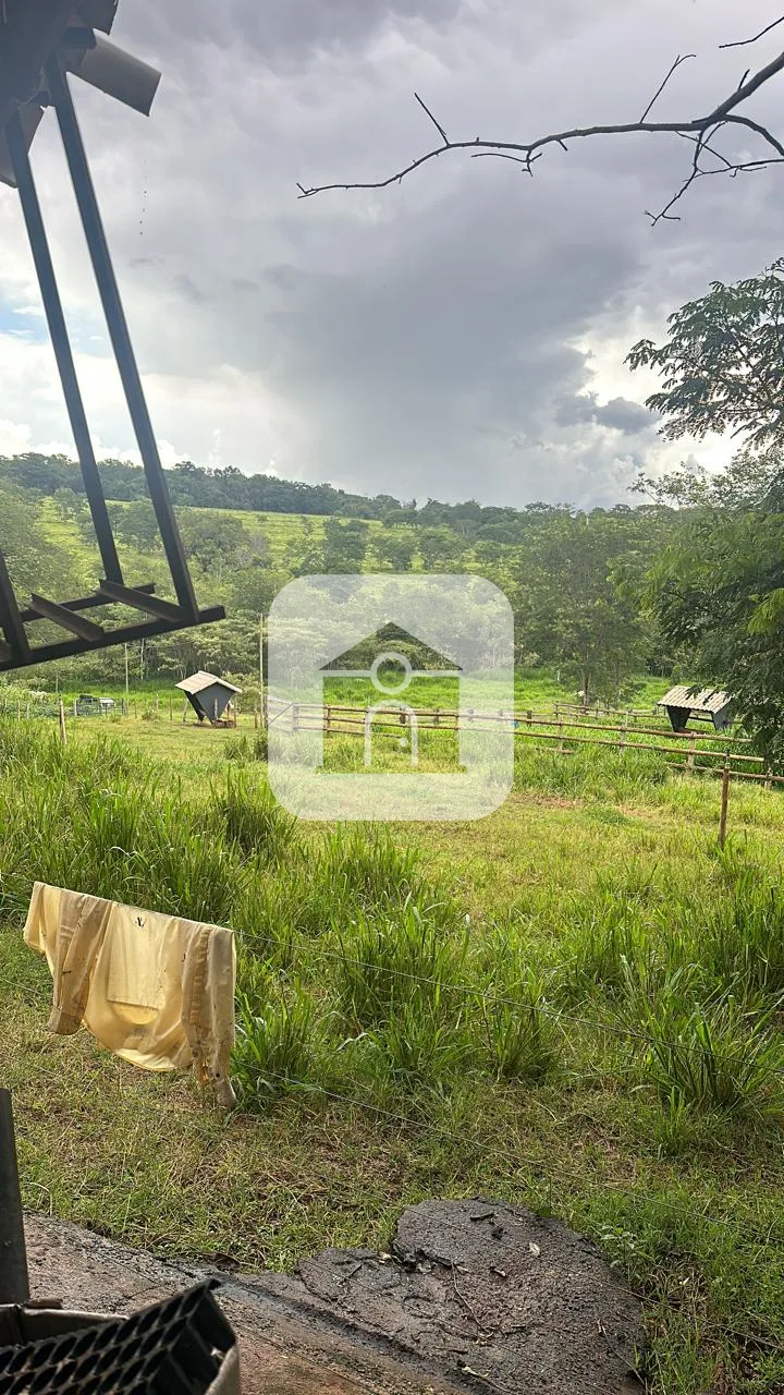 Comprar Rural / Ch&aacute;cara em Uberl&acirc;ndia R$ 1.500.000,00 - Foto 6