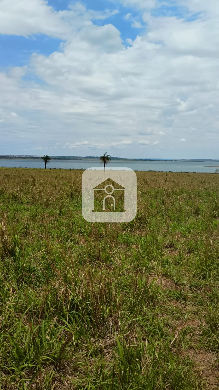Comprar Rural / Fazenda em Santa Vit&oacute;ria R$ 4.800.000,00 - Foto 1