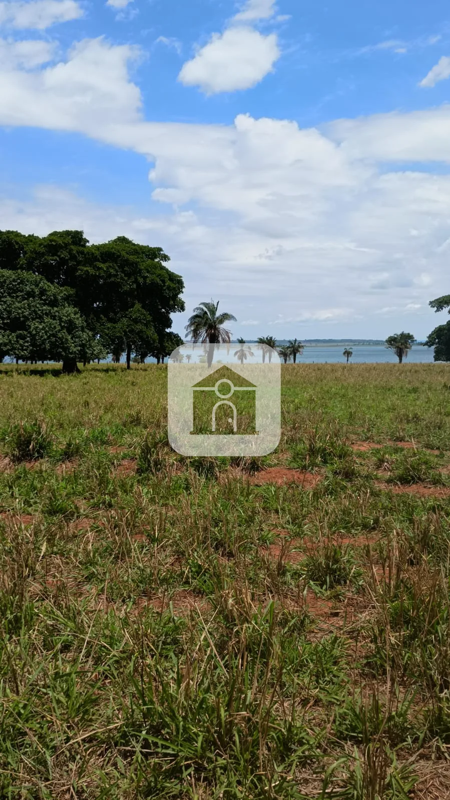 Comprar Rural / Fazenda em Santa Vit&oacute;ria R$ 4.800.000,00 - Foto 2