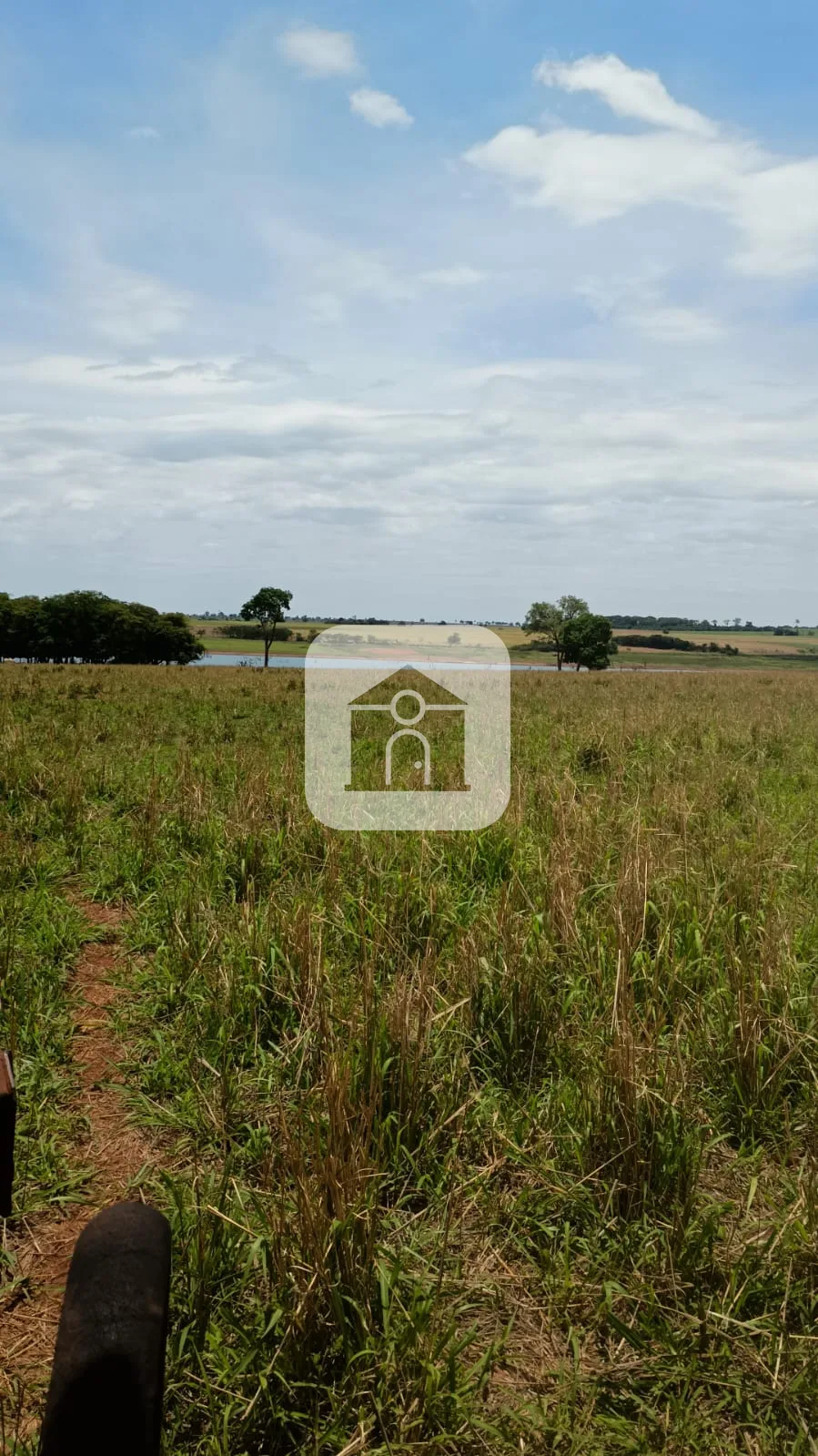 Comprar Rural / Fazenda em Santa Vit&oacute;ria R$ 4.800.000,00 - Foto 3