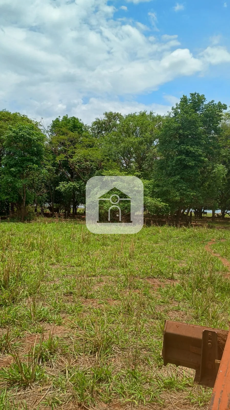 Comprar Rural / Fazenda em Santa Vit&oacute;ria R$ 4.800.000,00 - Foto 5