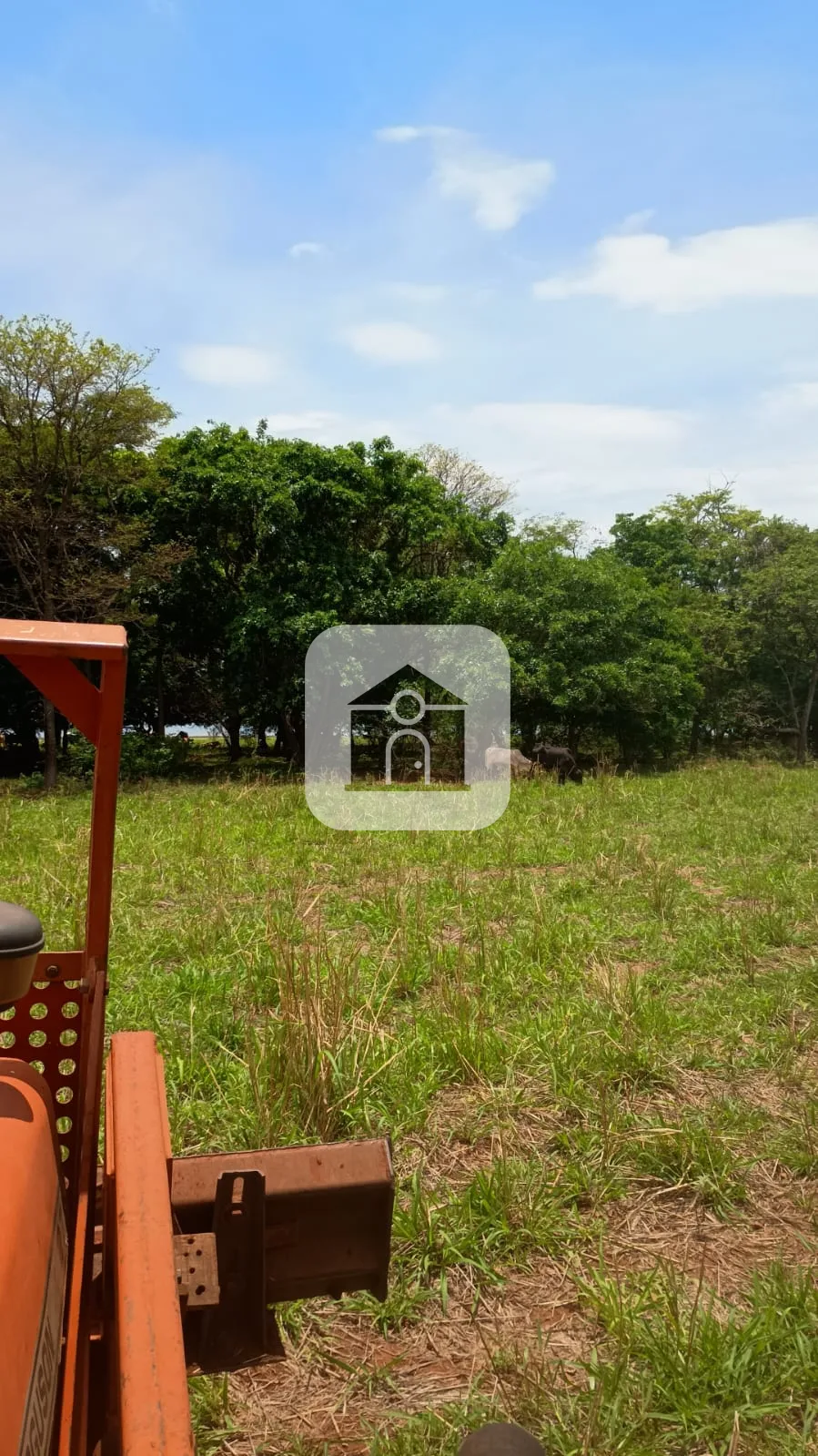 Comprar Rural / Fazenda em Santa Vit&oacute;ria R$ 4.800.000,00 - Foto 6