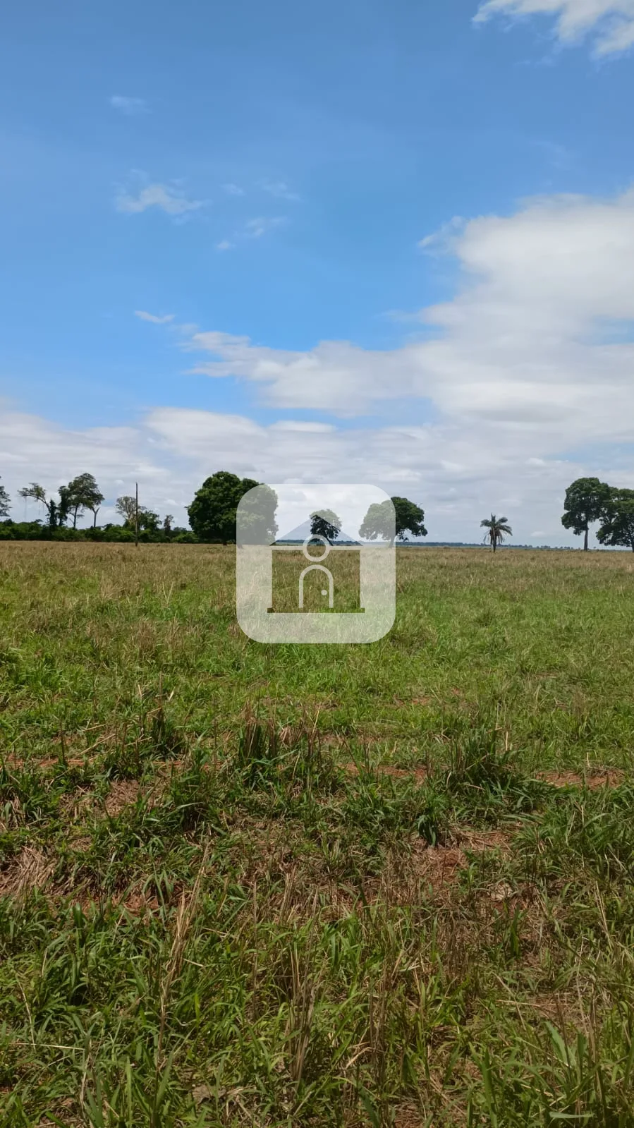 Comprar Rural / Fazenda em Santa Vit&oacute;ria R$ 4.800.000,00 - Foto 7