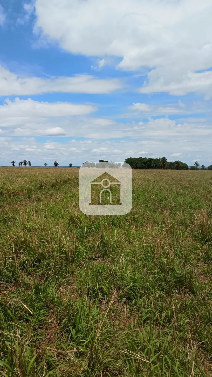 Comprar Rural / Fazenda em Santa Vit&oacute;ria R$ 4.800.000,00 - Foto 10