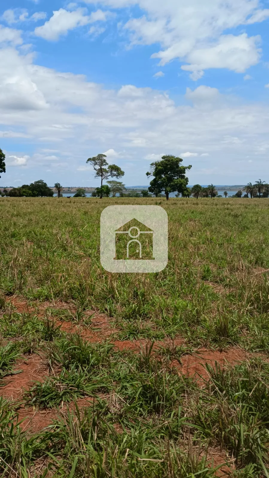 Comprar Rural / Fazenda em Santa Vit&oacute;ria R$ 4.800.000,00 - Foto 12
