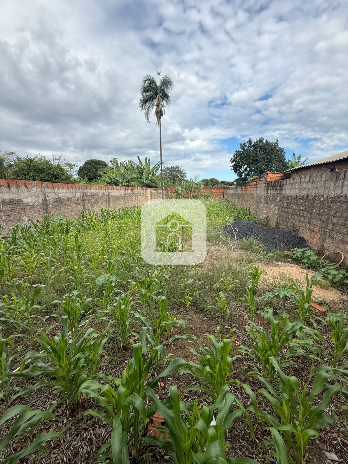 Comprar Terreno / Padr&atilde;o em Araguari R$ 90.000,00 - Foto 2