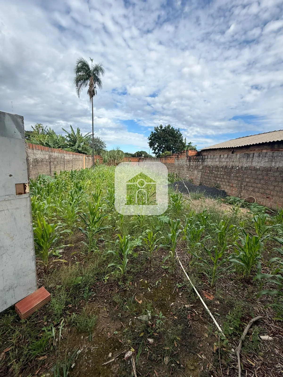 Comprar Terreno / Padr&atilde;o em Araguari R$ 90.000,00 - Foto 3