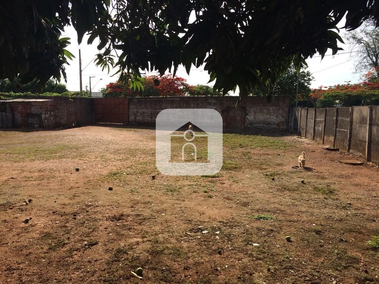 Comprar Comercial / Barrac&atilde;o em Araguari R$ 1.150.000,00 - Foto 10