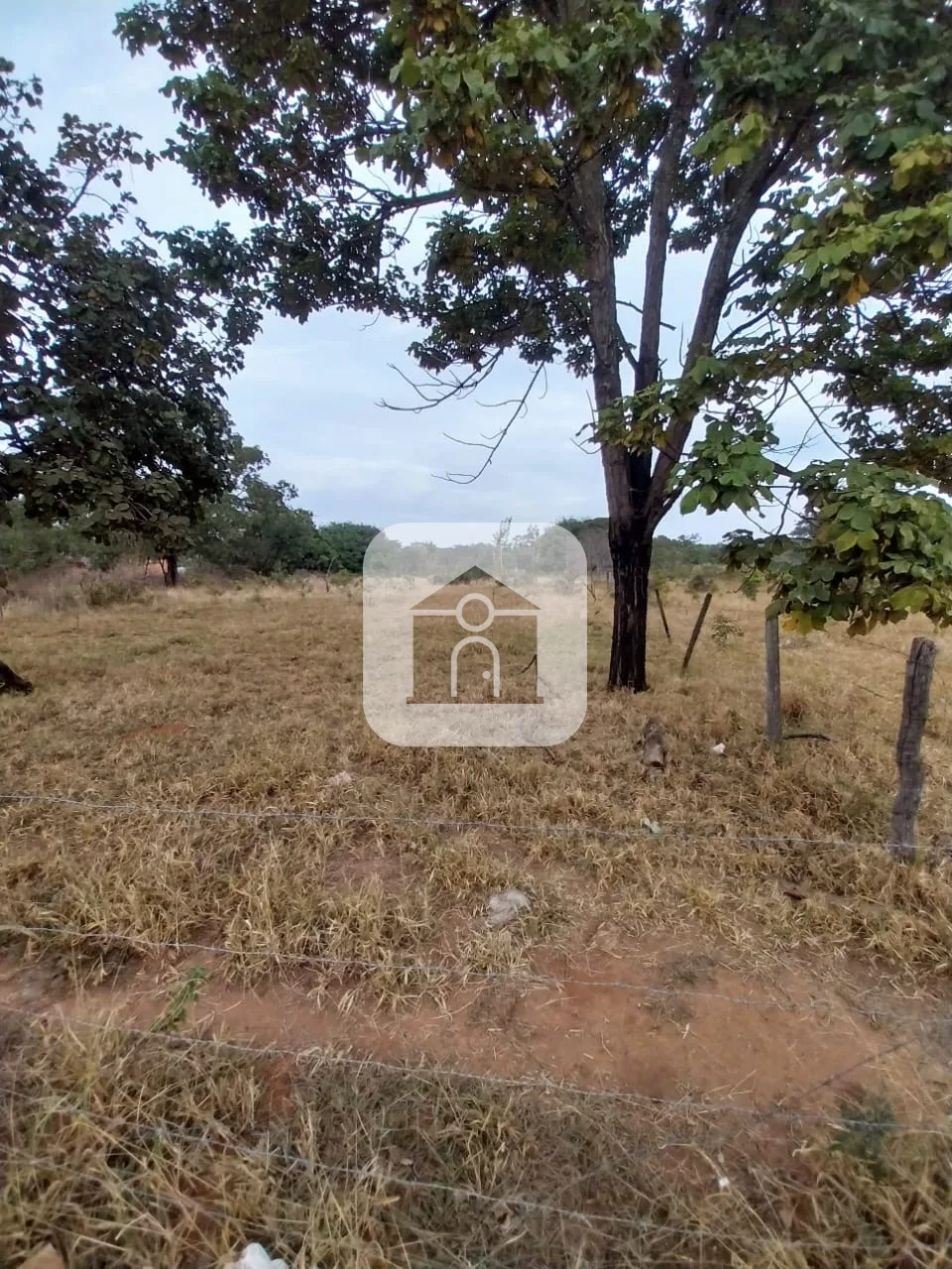 Comprar Terreno / Padr&atilde;o em Uberl&acirc;ndia R$ 750.000,00 - Foto 2