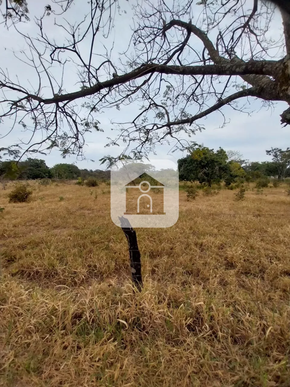 Comprar Terreno / Padr&atilde;o em Uberl&acirc;ndia R$ 750.000,00 - Foto 10