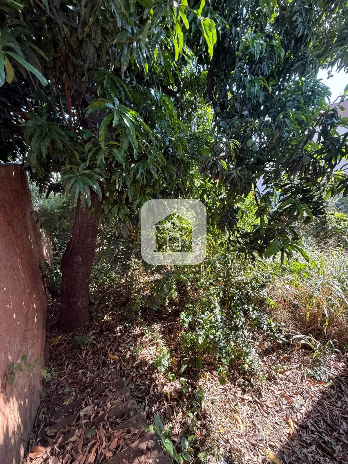 Comprar Casa / Padr&atilde;o em Araguari R$ 450.000,00 - Foto 16