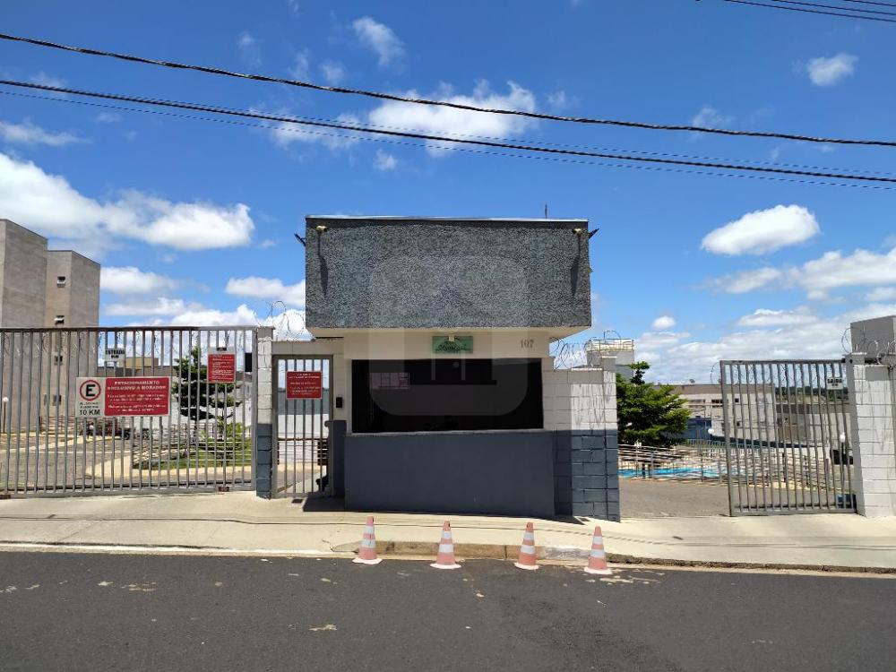 Alugar Apartamento / Padr&atilde;o em Uberl&acirc;ndia R$ 950,00 - Foto 19