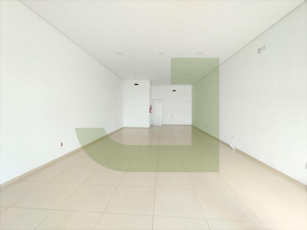 Alugar Comercial / Loja em S&atilde;o Leopoldo R$ 3.000,00 - Foto 2