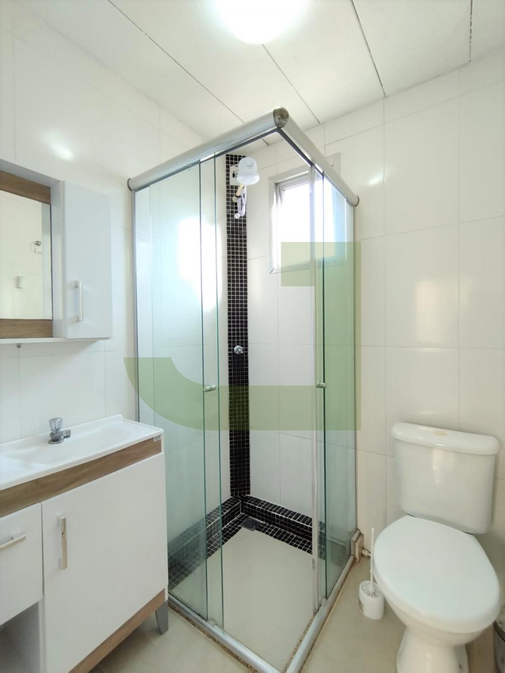 Alugar Apartamento / Padr&atilde;o em S&atilde;o Leopoldo R$ 750,00 - Foto 5