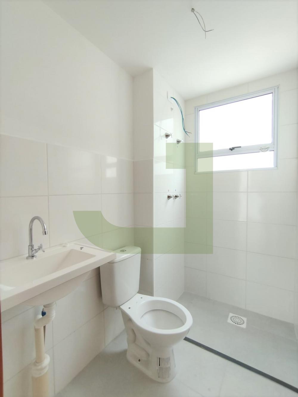 Alugar Apartamento / Padr&atilde;o em S&atilde;o Leopoldo R$ 1.000,00 - Foto 5