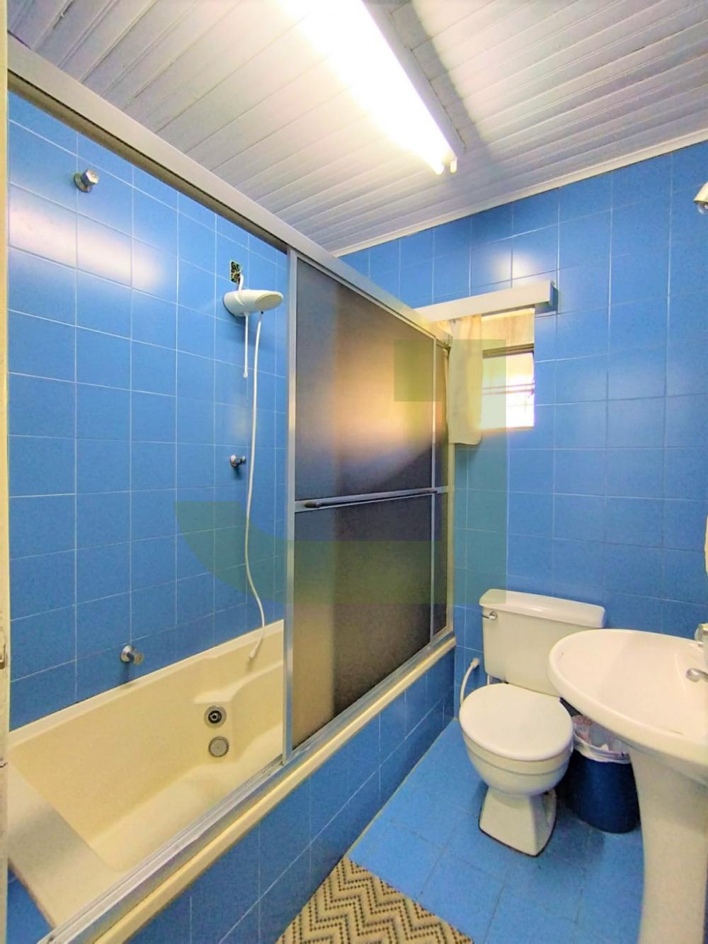 Alugar Casa / ComercialResidencial em S&atilde;o Leopoldo R$ 2.500,00 - Foto 10